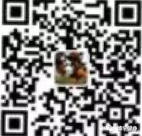 为什么控卫需要掌握多种进攻手段_1